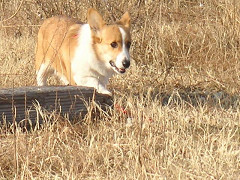 Resize of P1_thumb.jpg